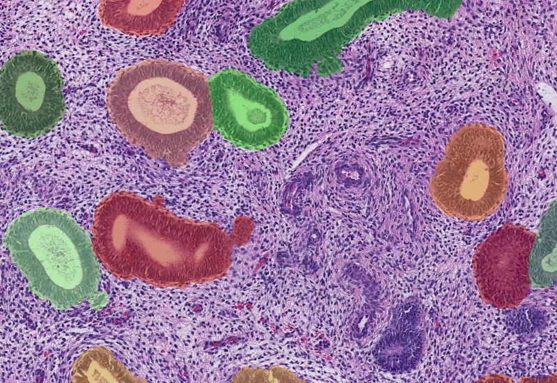 Dynamic Content Image